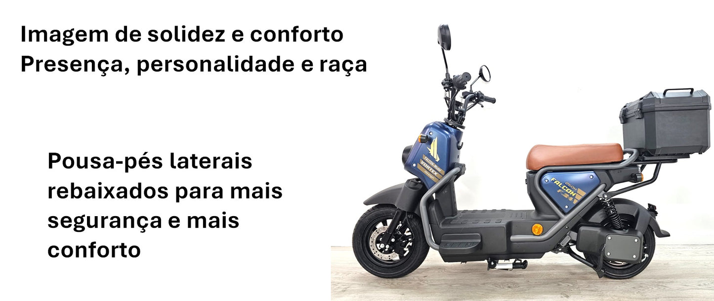 Vortex FALCON F-24 (Velocípede S/ Carta)