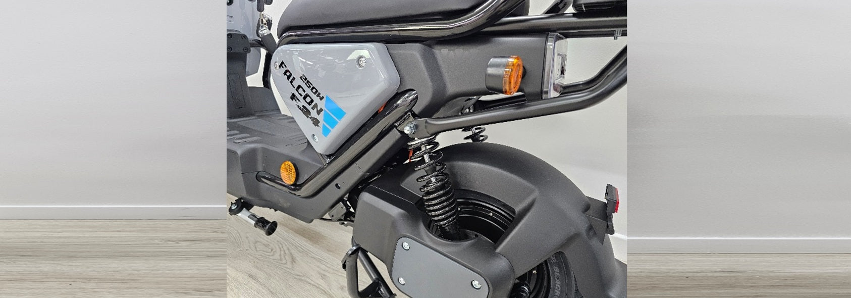 Goose Falcon gallery