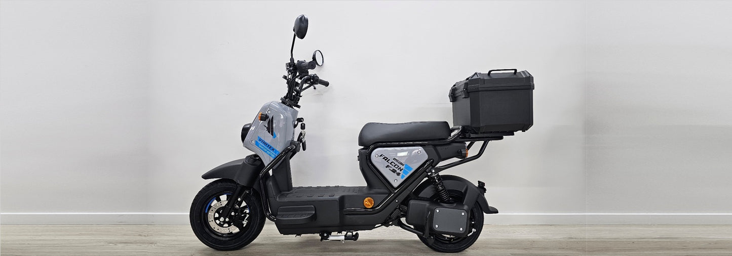 Goose Falcon gallery