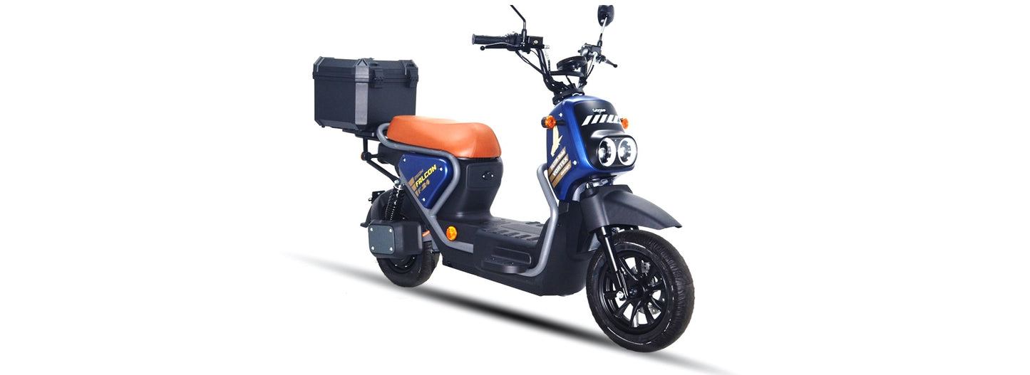 Goose Falcon gallery