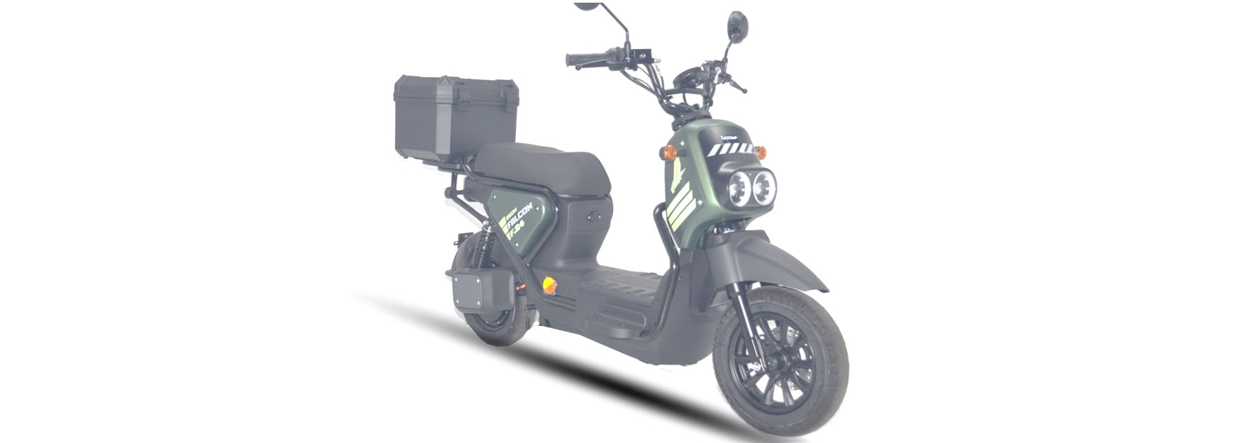 Goose Falcon gallery