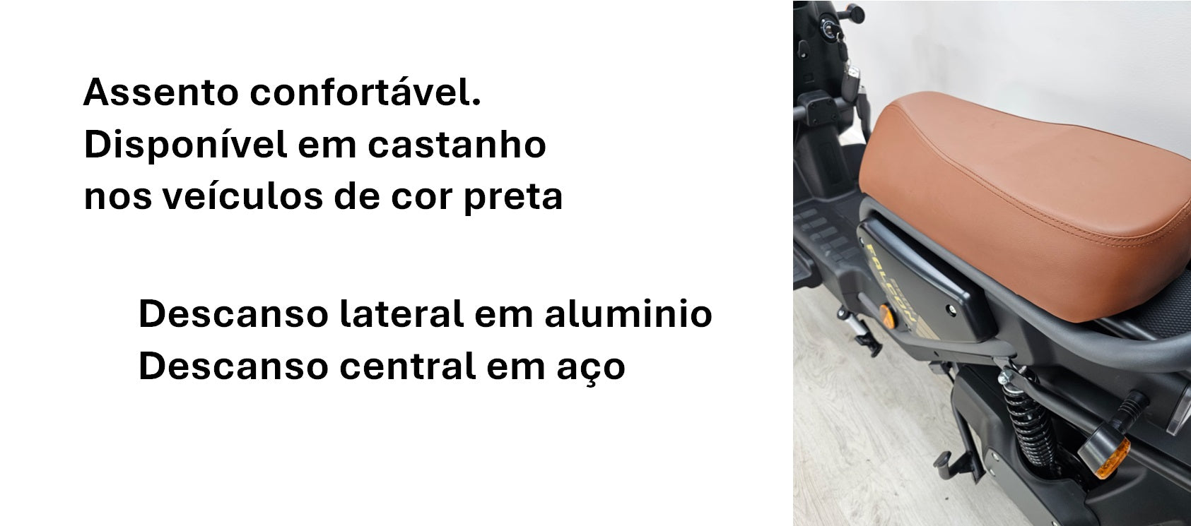 Goose Falcon gallery