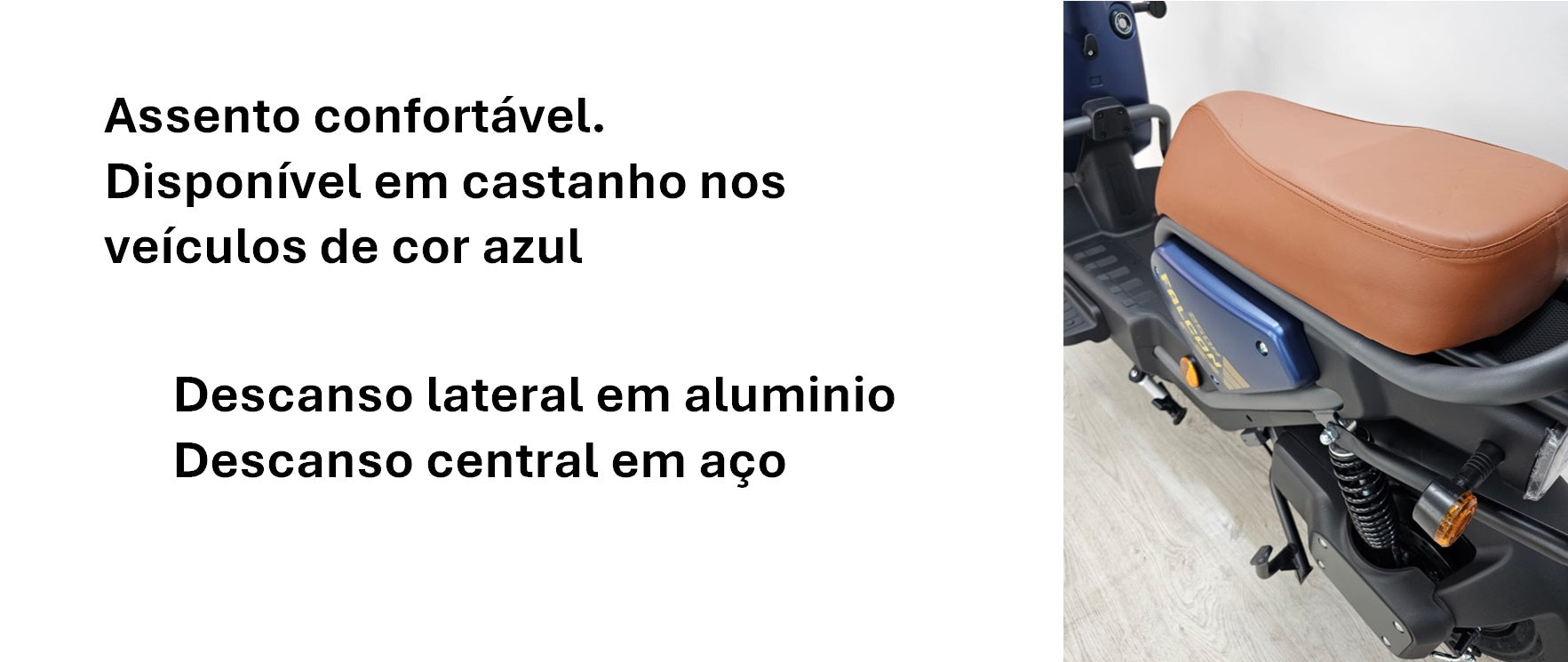 Goose Falcon gallery