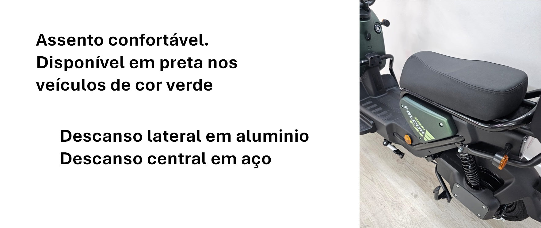 Goose Falcon gallery