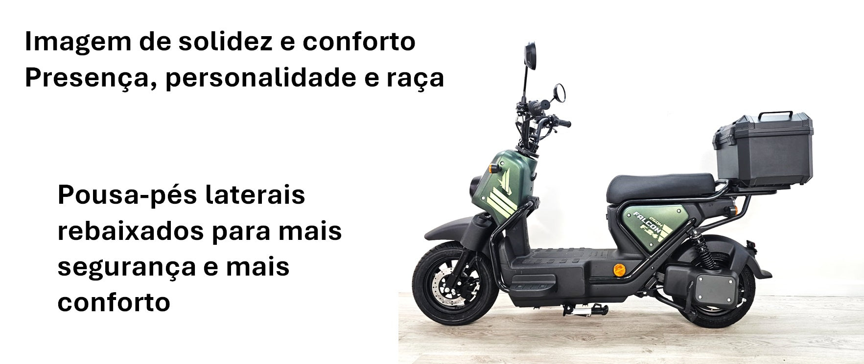 Goose Falcon gallery