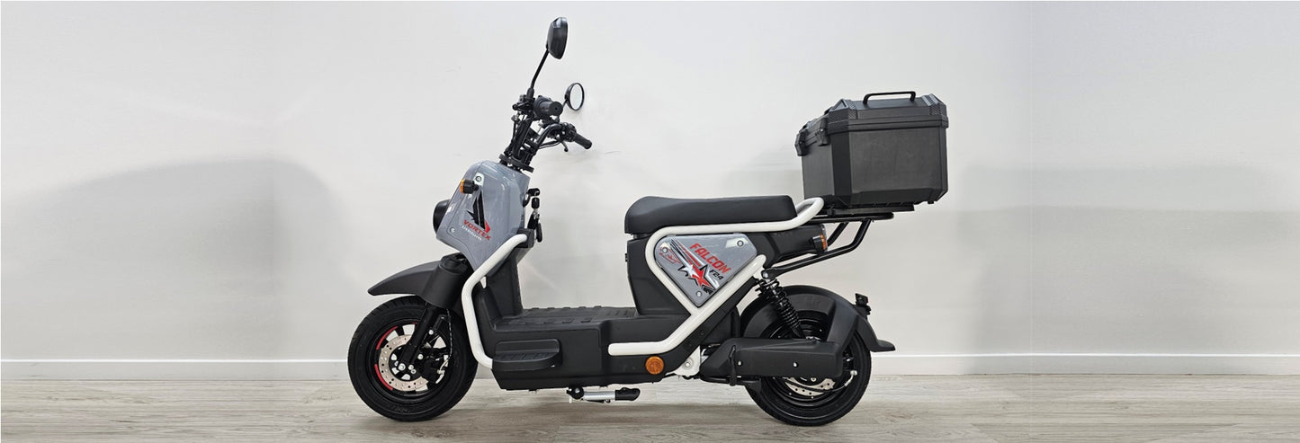 Goose Falcon gallery