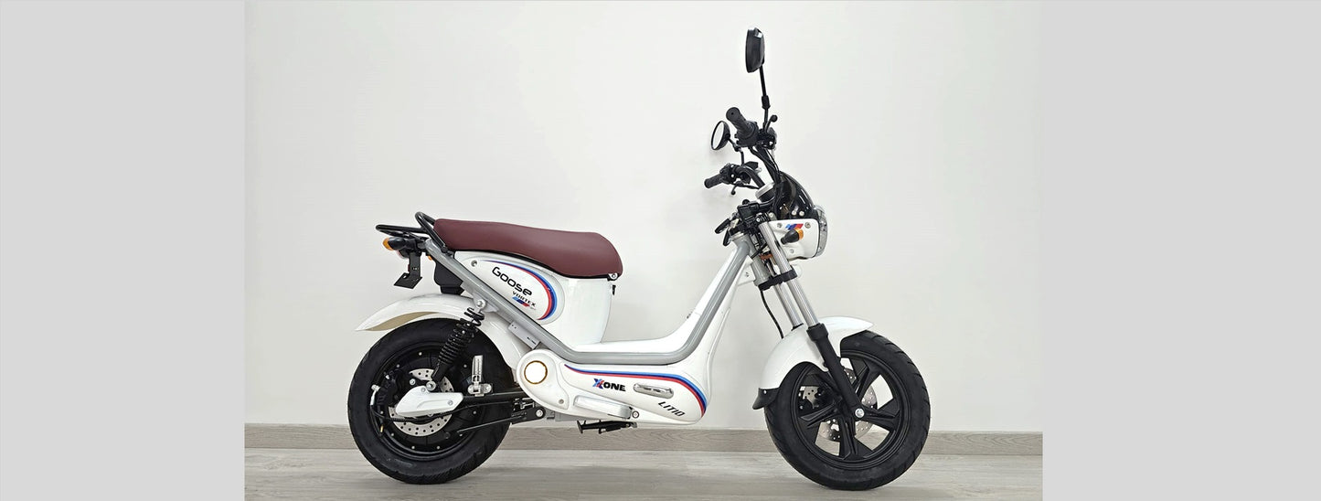 Vortex X-ONE. LIT (Velocípede S/ Carta)